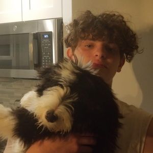 Meet your Posher, Owen